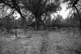 Mr. Tony's Ranch by Lani Doely