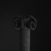 Flowering Pipe by Michael Wilkes