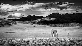 No Show by Steve Burkett