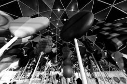 Vaulted Lollipop Forest by Hillary Greene-Pae