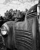 Vintage by John Faltus