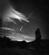 Canary Island by Dan Richard Barber