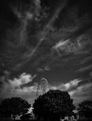 Texas Star by Dan Richard Barber