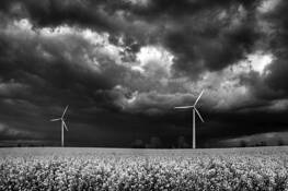 Storm Approaching Rapeseed Field by Michael Bille