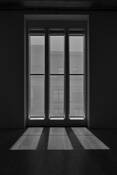 Window Light by Gwen Solomon