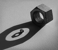 Nut Study #3 by David Bence