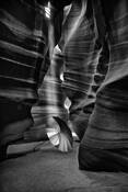 The Umbrella by Roberto Soares-Gomes,