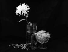 A Still Life by Sandy Lloyd