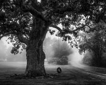 Once Upon an Time by Anne Eigen
