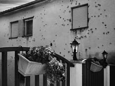Bullets Over Begonias by Gerald Shonkwiler