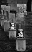 Teddy Chairs by Gerald Shonkwiler