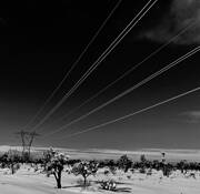 Winter Electric by Mark Ferguson