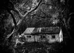 The House in the Woods by Jenn Lawrence