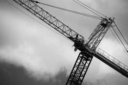 Crane by James Coughlan