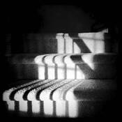 Carpet Shadows by Arlene Stanger