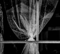 Lace & Pearls by Jerry Kay