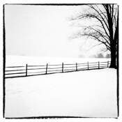 Solitude 3 by Mandy Seligman