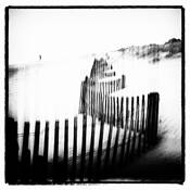 Solitude 2 by Mandy Seligman