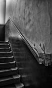 Spring Stairway by Jane Sydney