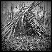Shelter by Brian Schneider
