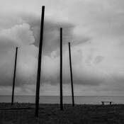 Four Fish Sticks by Bjarne Holmgren