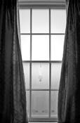 Elegant Window by Mary Woodman