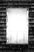 Metal Window by Mary Woodman