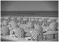 Parasols Koksijde by Francis Elsocht