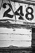 248 by Tom Green