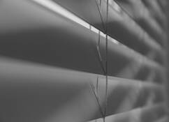 Blinds by Karen Thorpe