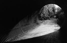 Mountain Bay Trail Tunnel by Christopher Pamperin