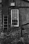 Virginiacana 2 by John Antesberger III