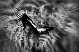 Black Shoe by Javid Kamali