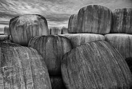 Marshmallow Hay Bales by William West