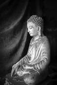 Buddha Touching Earth by David Ruderman