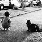 Friends by Taiwik David Chui