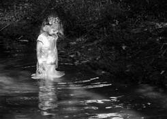 Stella Bella by Beamie Young