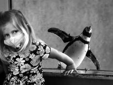 A Girl and a Penguin by Vira Sivachuk