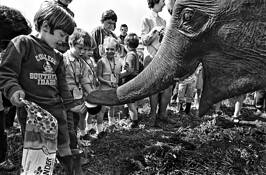 Pals by Richard Batch