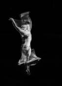 Motion 5 by William Jackson