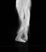Motion 8 by William Jackson