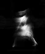 Motion 7 by William Jackson