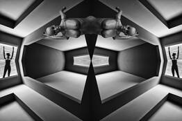 Twin Levitations by William R  West  Jr