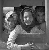 Kids on the Train by William Lemke