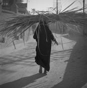 Woman With Sugar Cane by William Lemke