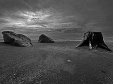 Of Rocks and Driftwood No.5 by Sonia Melnikova-Raich