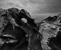 Of Rocks and Driftwood No.10 by Sonia Melnikova-Raich