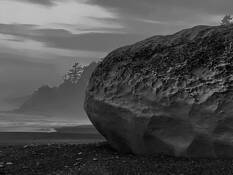 Of Rocks and Driftwood No.2 (Romancing the Stone) by Sonia Melnikova-Raich