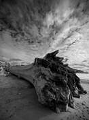 Of Rocks and Driftwood No.6 (Matter of Scale) by Sonia Melnikova-Raich