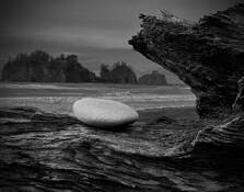 Of Rocks and Driftwood No.9 (Romancing the Stone) by Sonia Melnikova-Raich